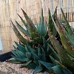 La Placita 別荘 サラゴサ